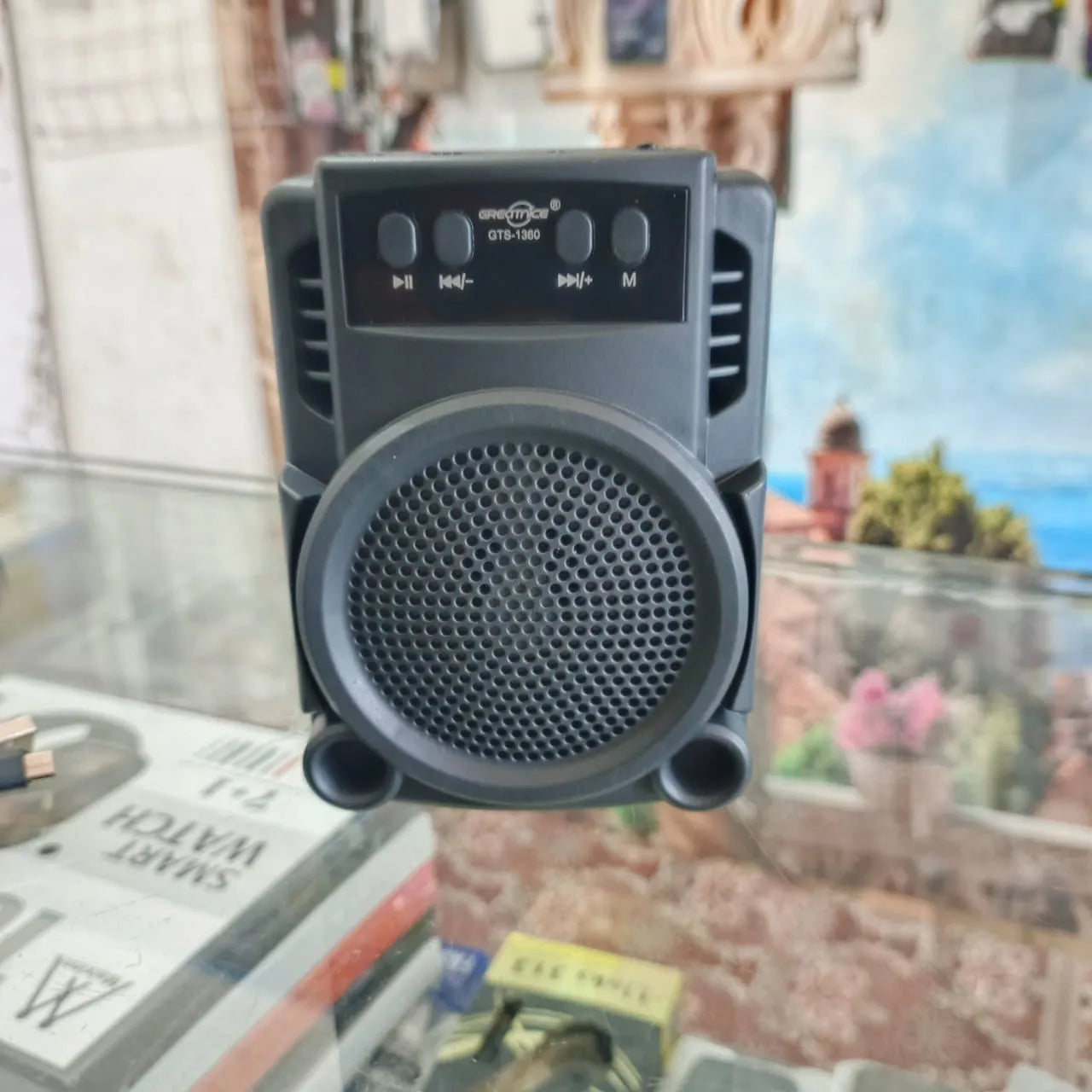 GTS-1360 Wireless Bluetooth Speaker | Portable 3" Big Bass Sound | FM Radio | USB & Micro SD | Rechargeable